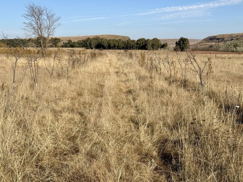 0 Bedroom Property for Sale in Harrismith Free State